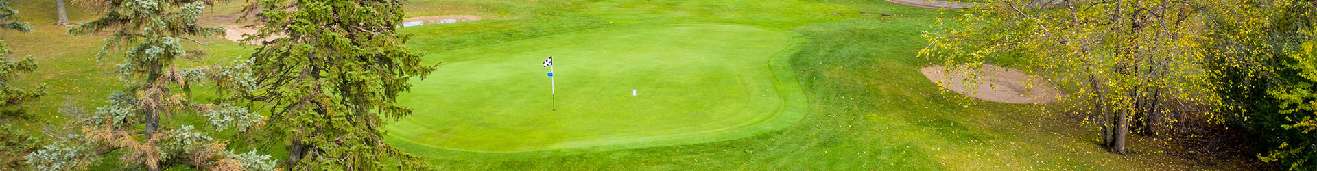 Well-manicured green.