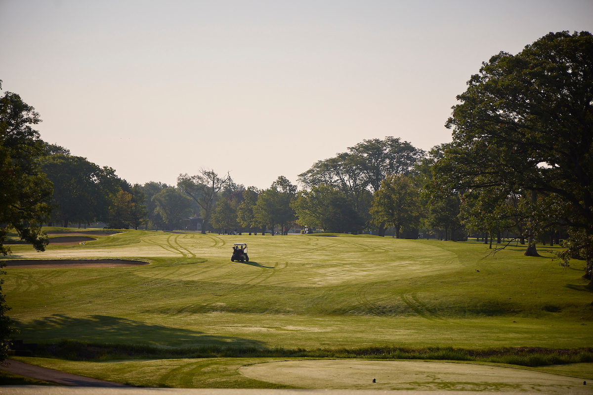 Golf cart on the fairway in the distance.