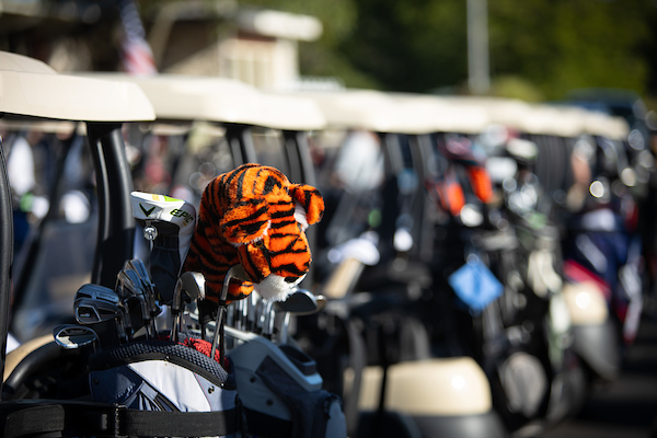 A row of carts loaded with golf bags ready for a tournament.